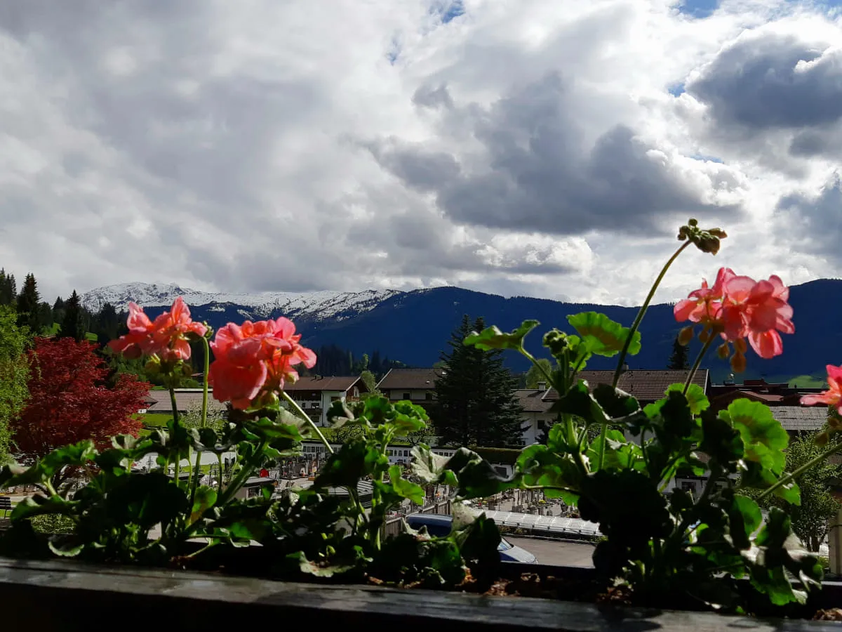 Blumen auf einer Terrasse mit Blick auf Berge und wolkigen Himmel